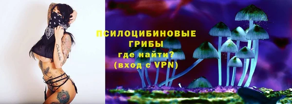 мет Осинники