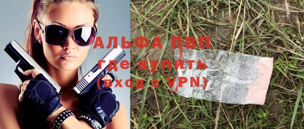 ГАЛЛЮЦИНОГЕННЫЕ ГРИБЫ Инсар