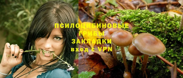 герыч Няндома