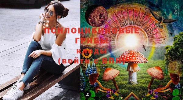 меф Нягань
