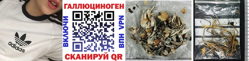 Галлюциногенные грибы Psilocybe  Ялта 
