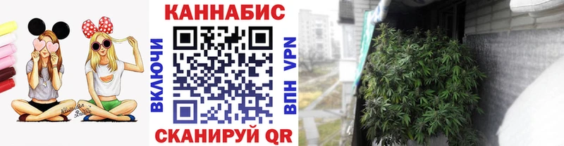 МАРИХУАНА OG Kush  купить   Ялта 